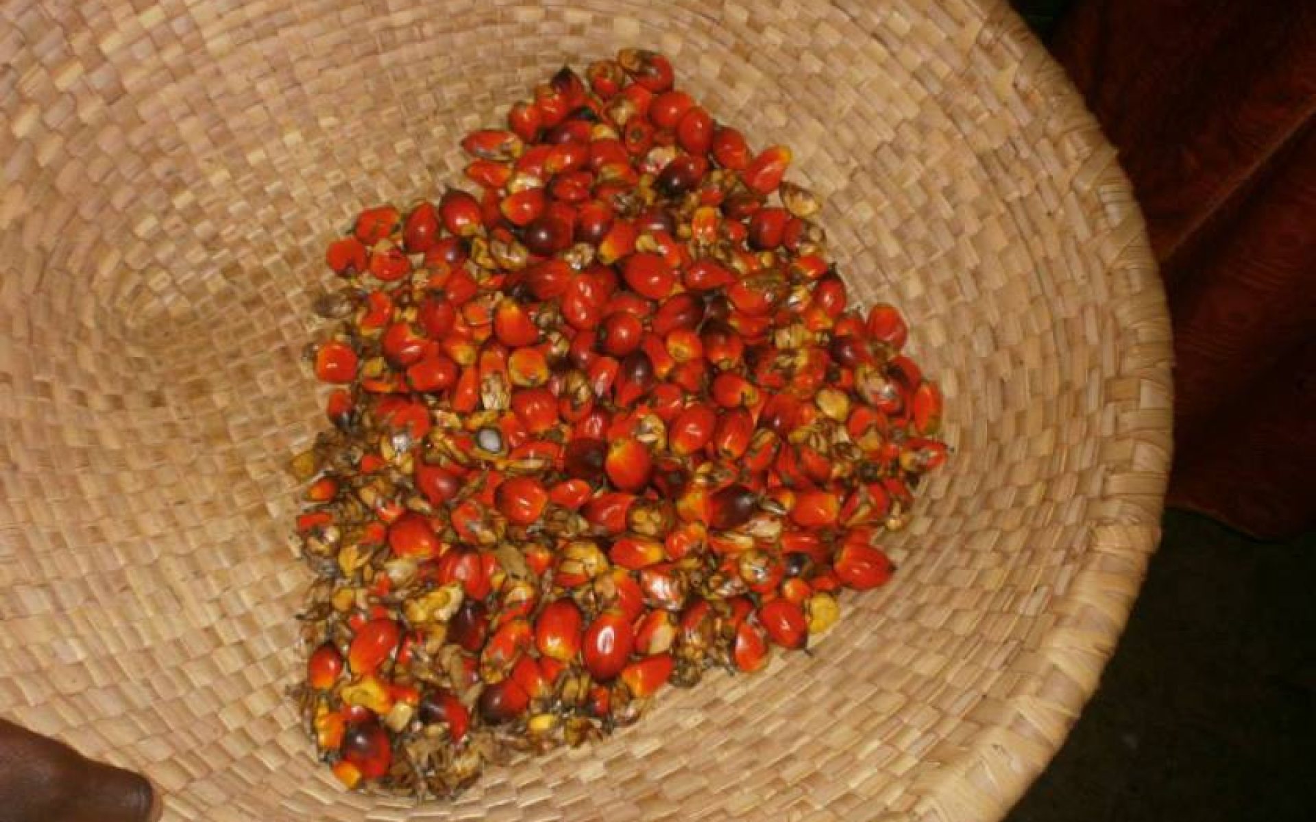 2016_04_19-Senegal-G1-Blog-Hameth Ndoye #2