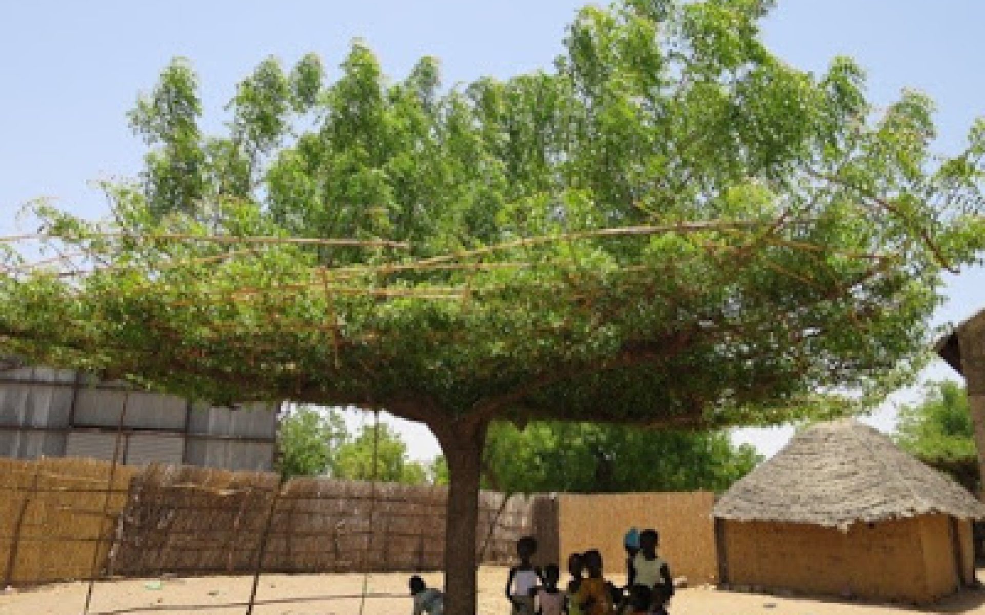 2016_05_05-Senegal-G1-Blog-Mama Diop #1