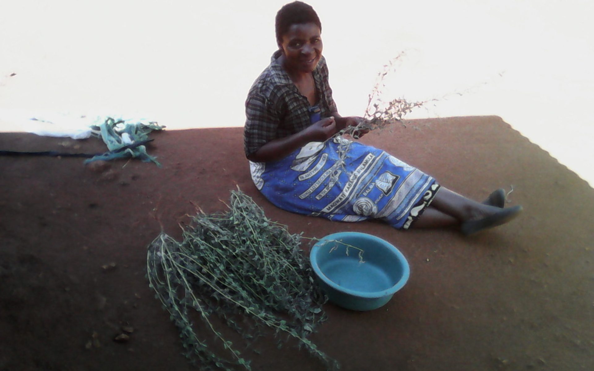 2016_06_27-Malawi-G1-Blog-Lucy Chihana #1