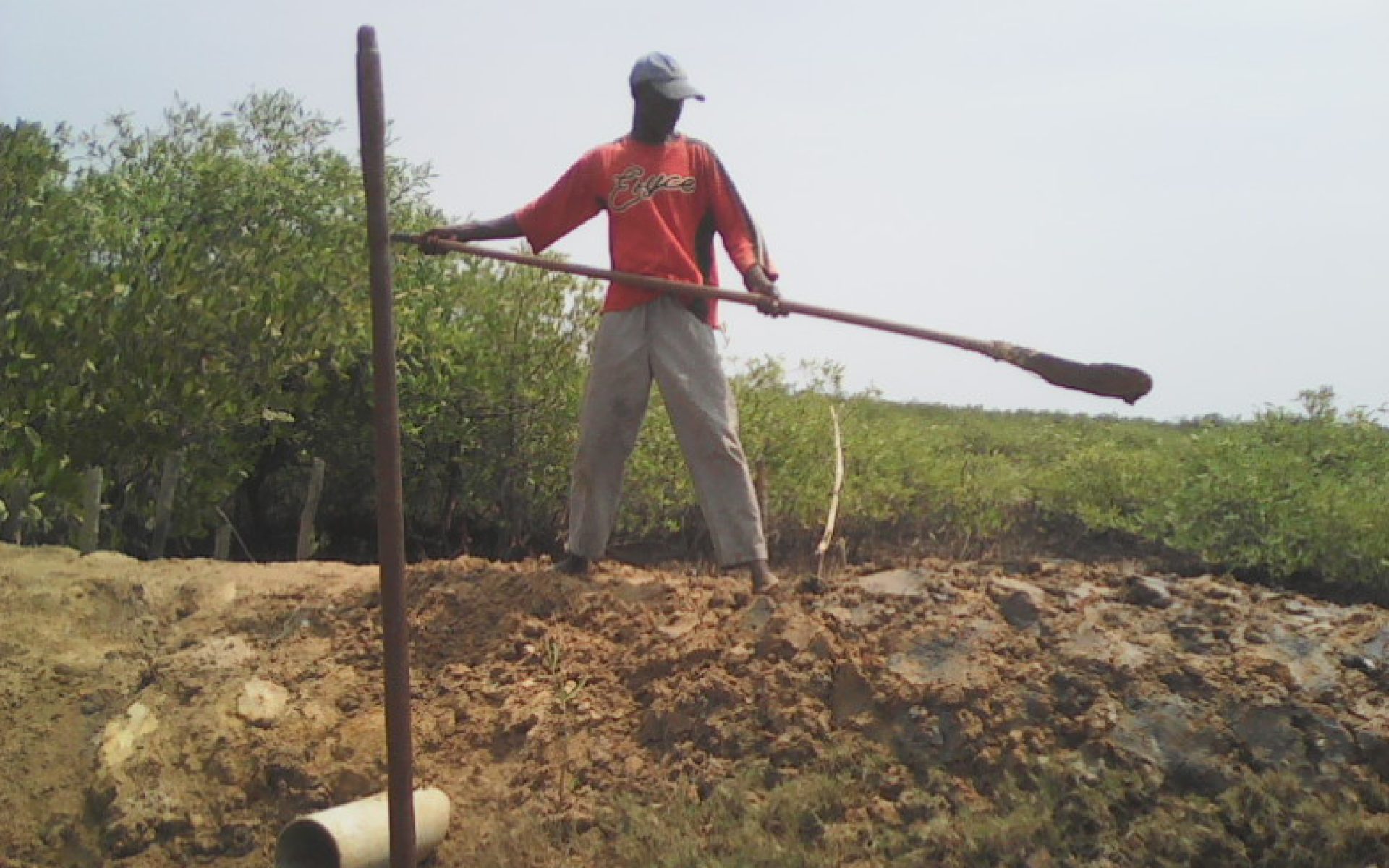 2016_06_30-Senegal-G1-Blog-Hameth Ndoye #1