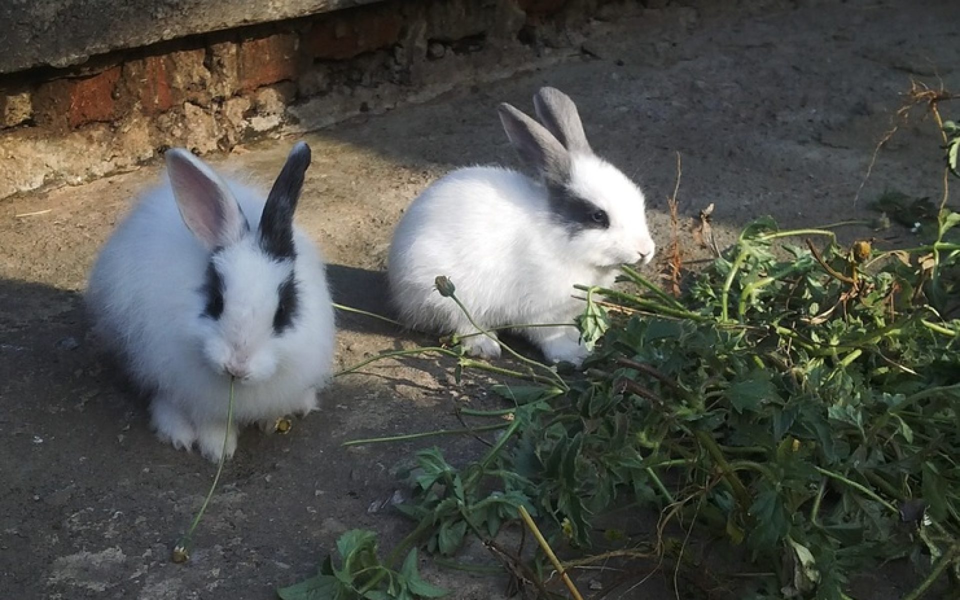 2016_09_08-Malawi-G1-Blog-Tusayiwe Sikwese #1