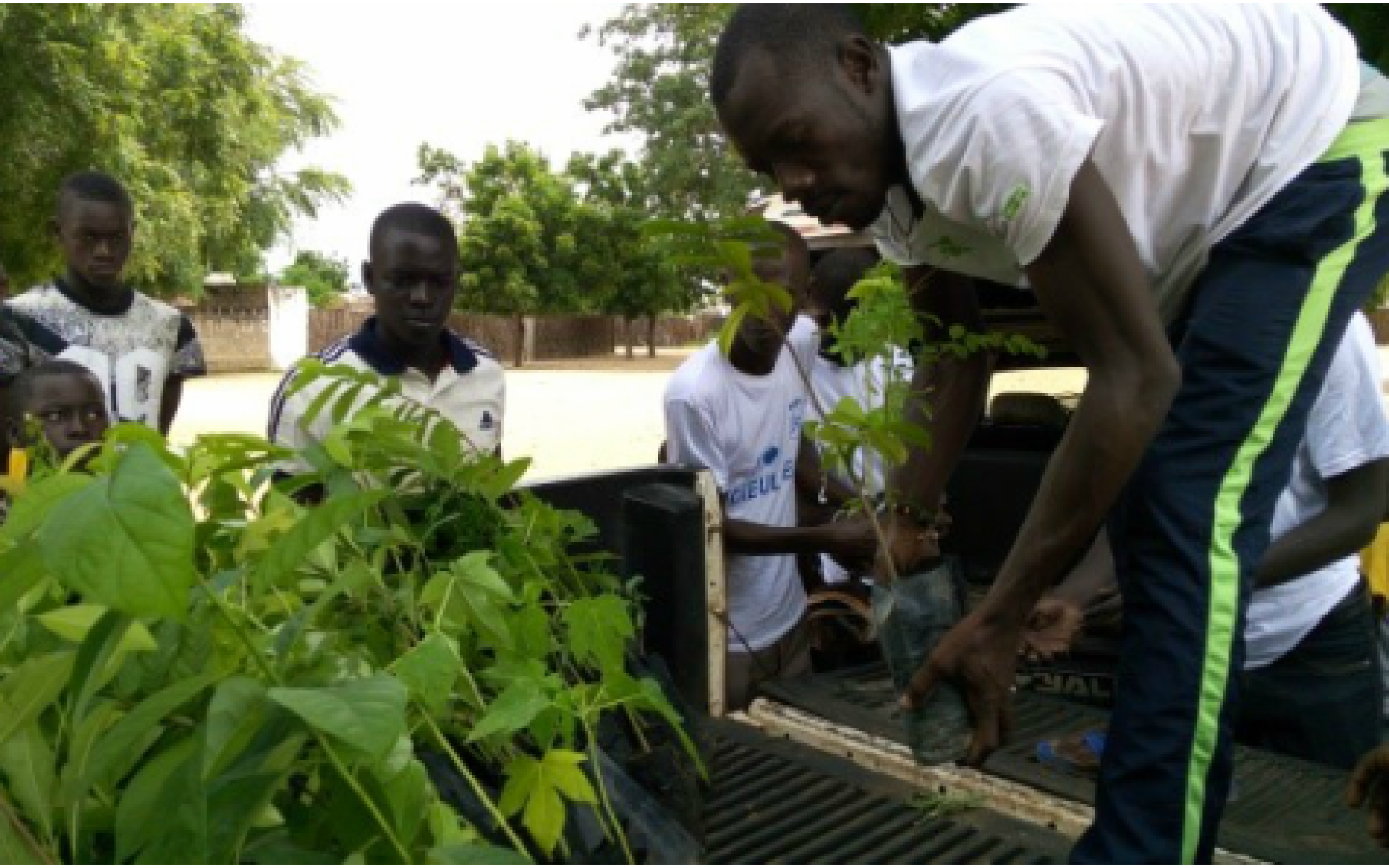 2016_11_14-Senegal-G1-Blog-Boubacar Diallo #2