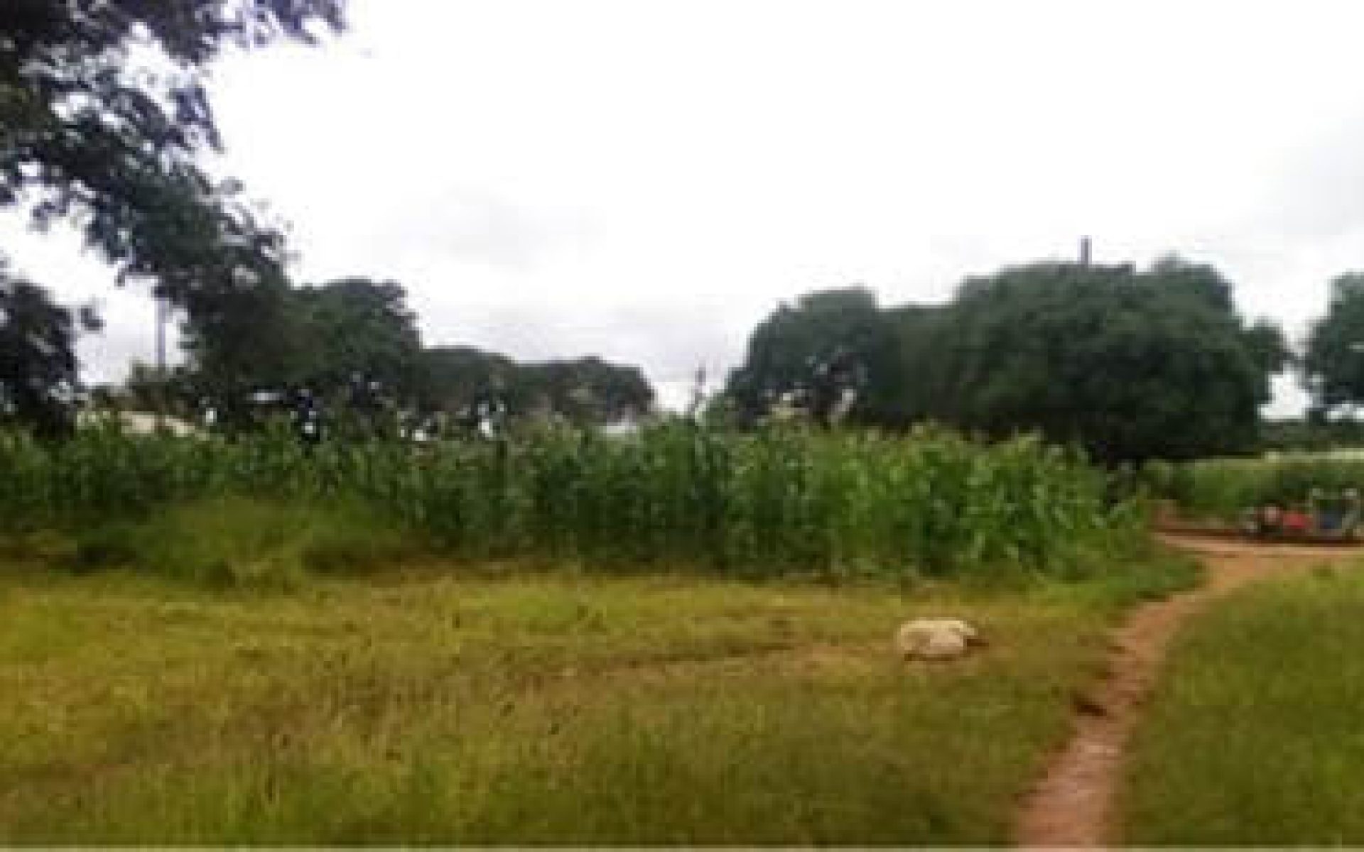 2018_03_18-Malawi-G2-Blog-Hope Matilda Mawerenga #1