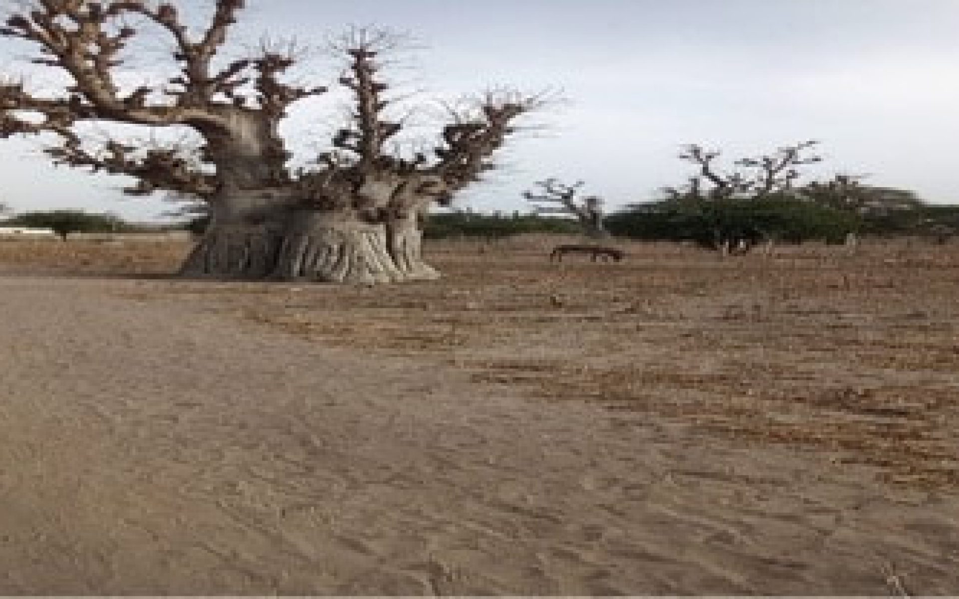 2018_03_20-Senegal-G2-Blog-Mame Binetou Ndour #1