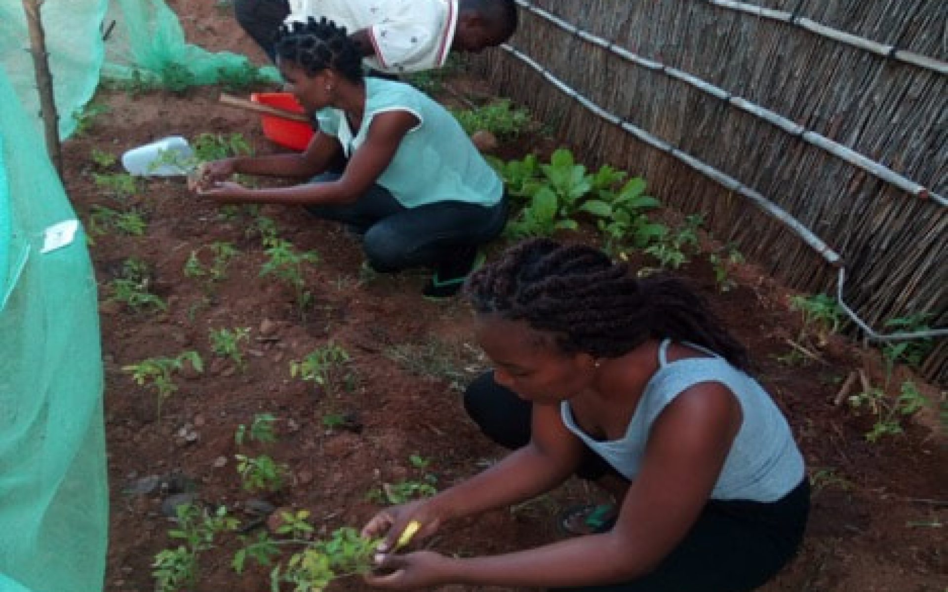 2018_04_30-Malawi-G2-Blog-Wezi Kayira #2