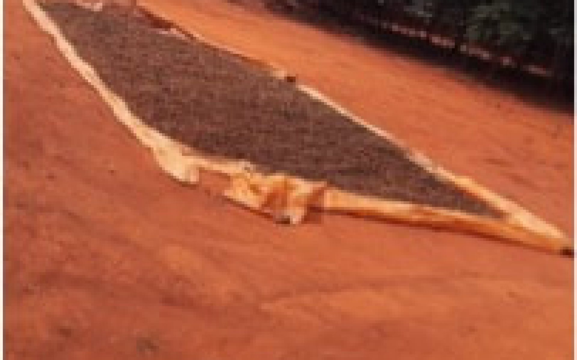 2018_05_26-Malawi-G2-Blog-Ireen Kanjala #1