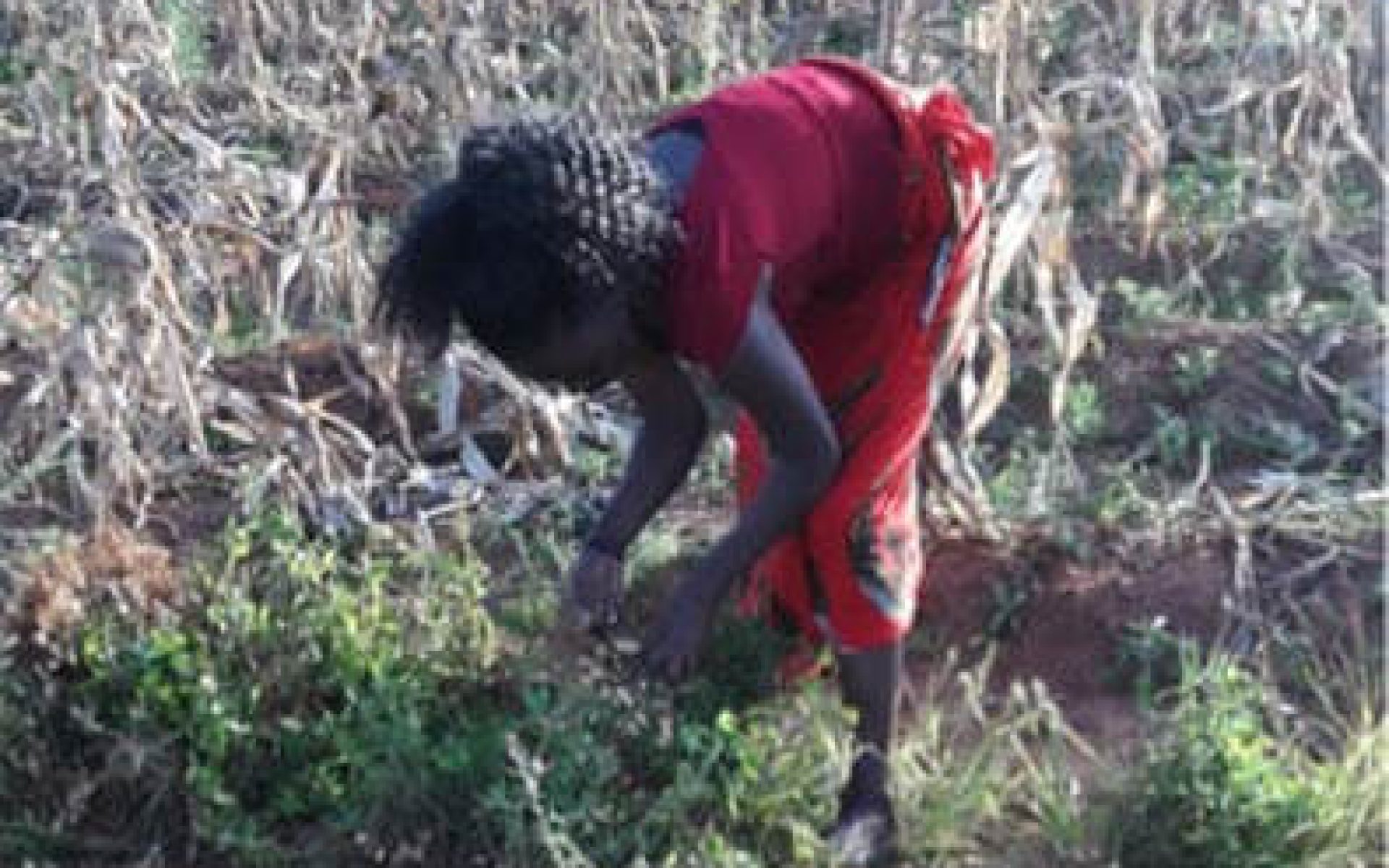 2018_05_30-Malawi-G2-Blog-Caroline Luka #2