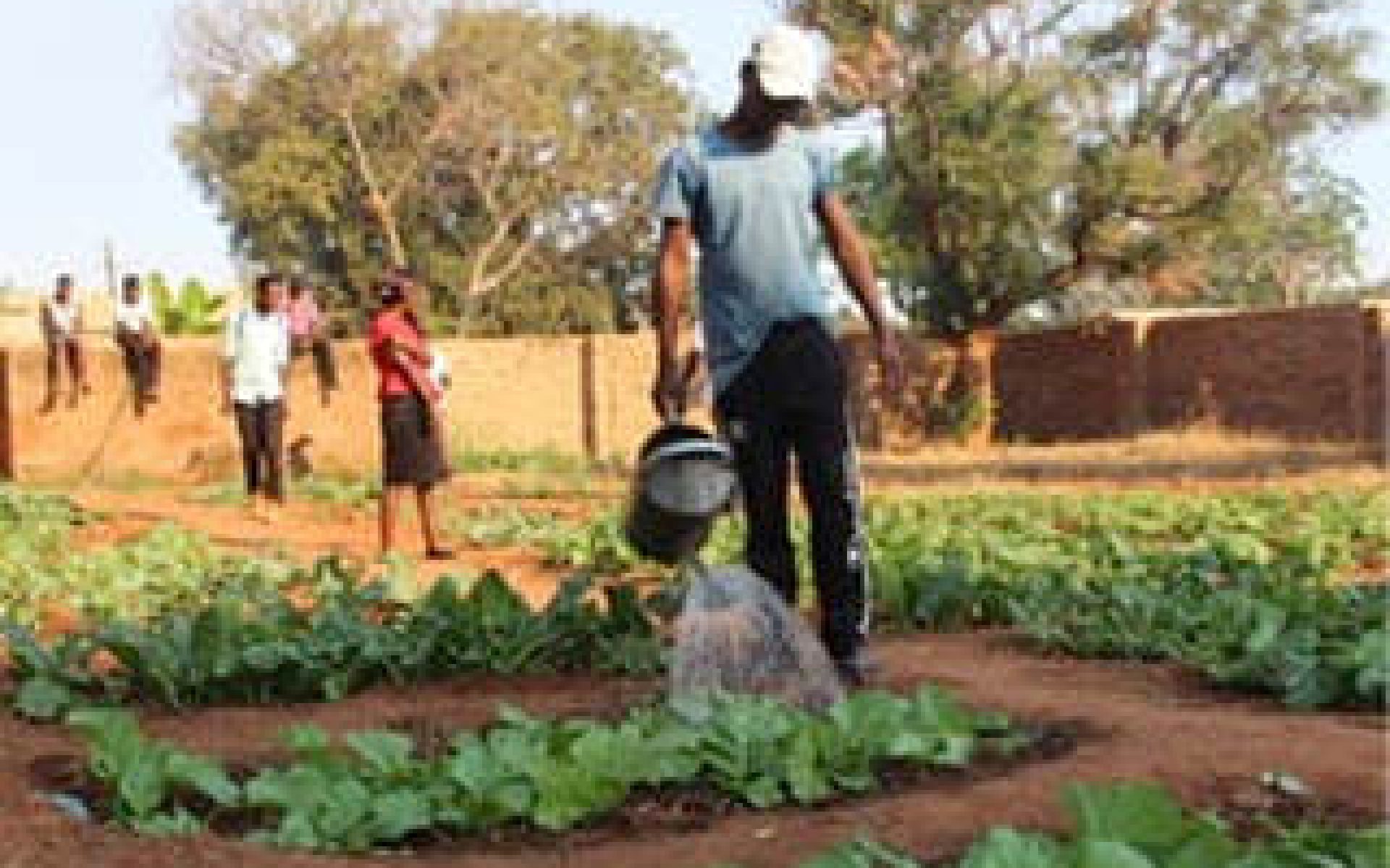 2018_10_08-Malawi-G2-Blog-Chancy Simba #1