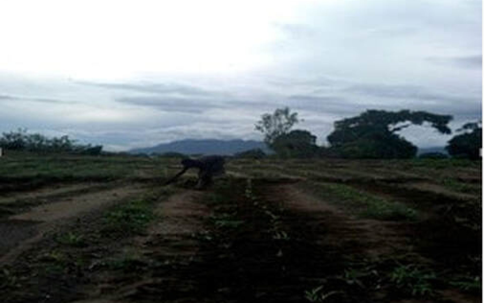 2018_12_27-Malawi-G3-Blog-Rhoda Sheena Gangire #1