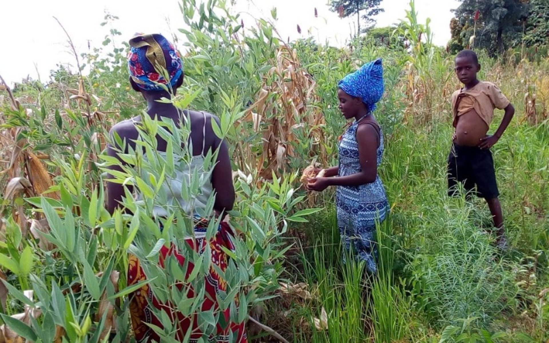 2020_04_19-Malawi-G4-Blog-Margaret Magombo #1