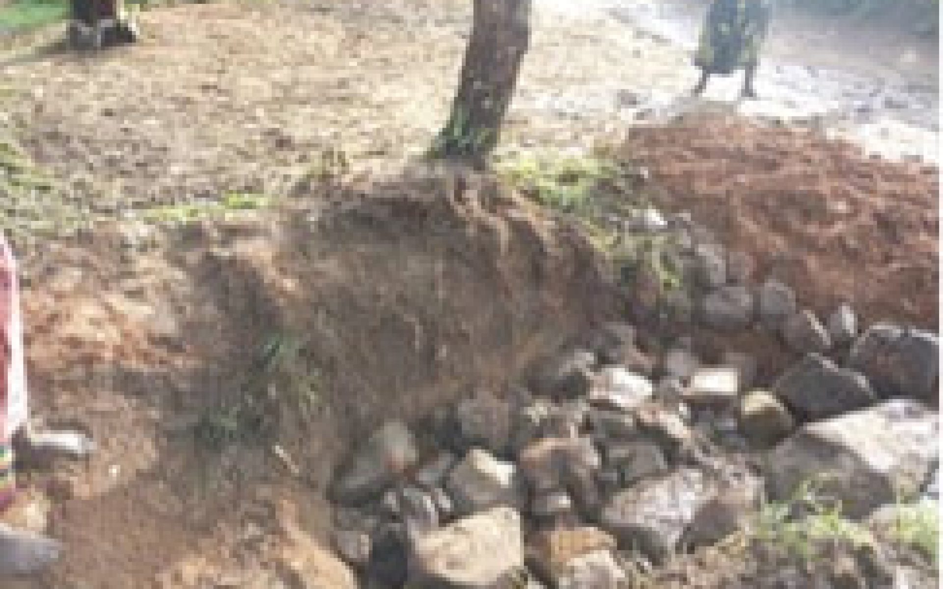 2020_06_02-Malawi-G4-Blog-Mieke Mmeya #3