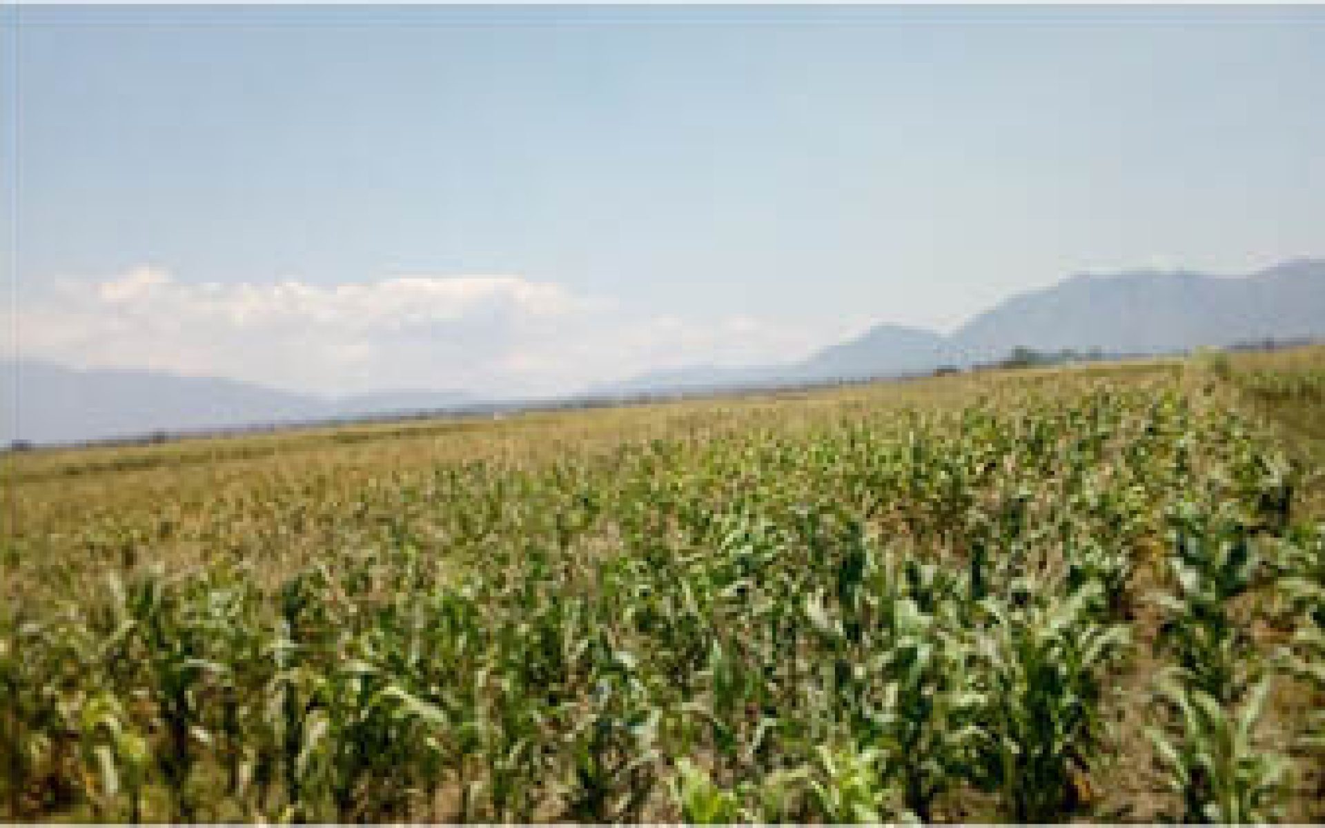 2020_11_09-Malawi-G4-Blog-Margaret Magombo #1