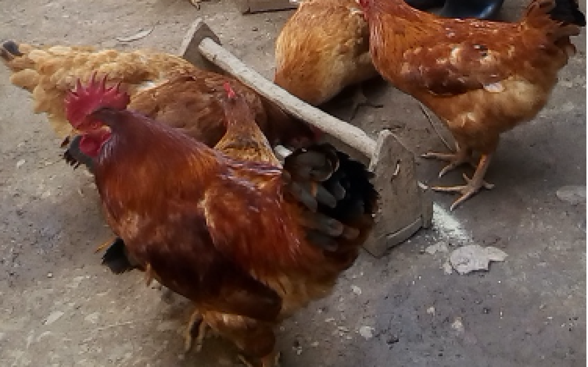 2020_12_17-Rwanda-G2-Blog-Justin Nkunzimana #1