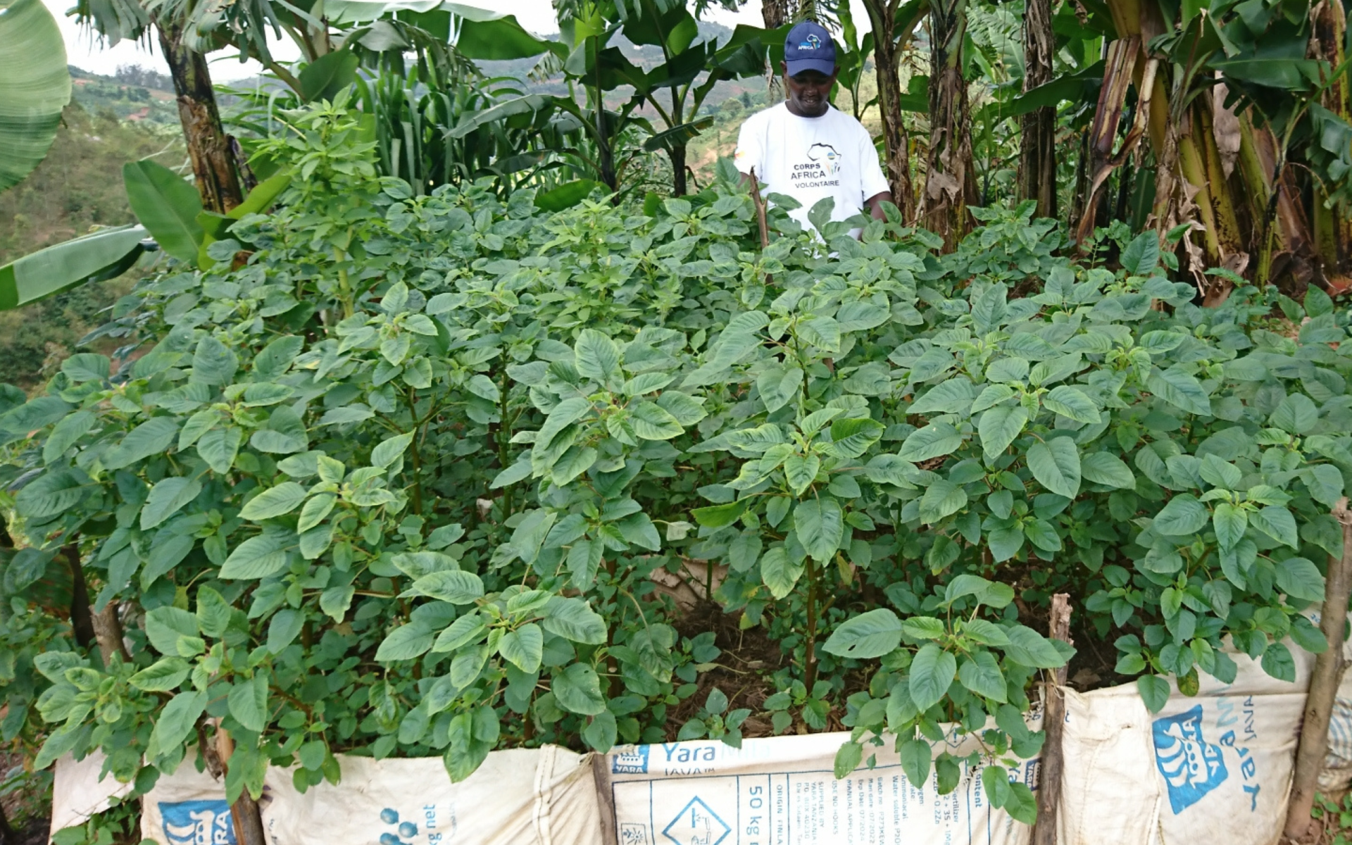 2022_09-Rwanda-Science Africa-MS