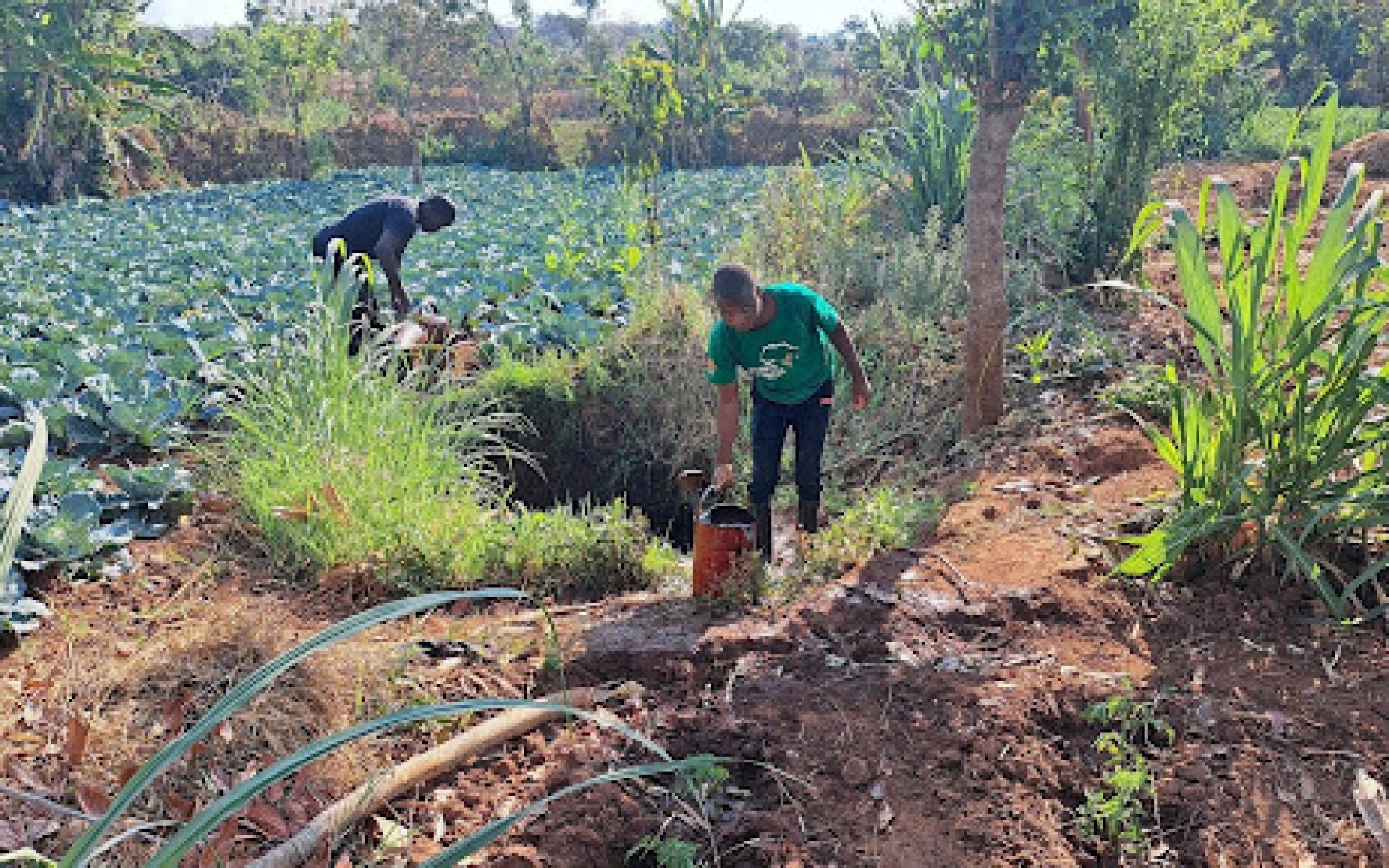 2023_11_03-Malawi-G7-Blog-Chikondi Felix Dula #5