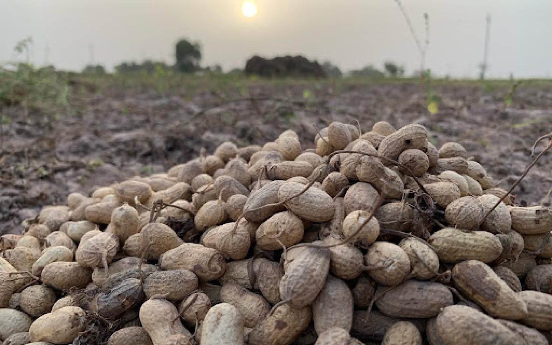 2023_11_27-Senegal-G7-Blog-Ali Ba #2