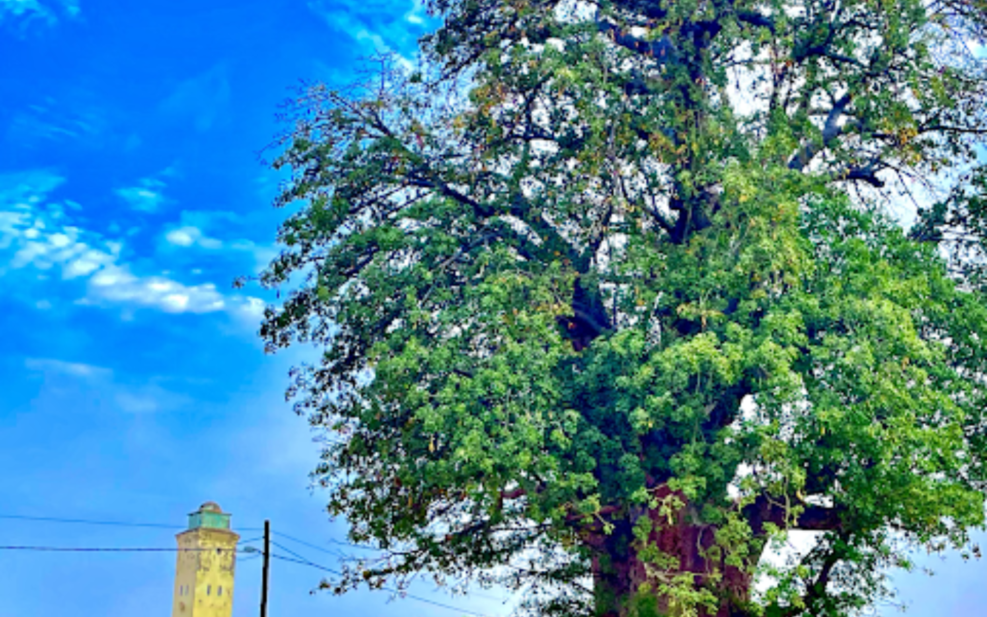 2023_12_17-Senegal-G7-Blog-Abdoualaye Diallo-Featured Image