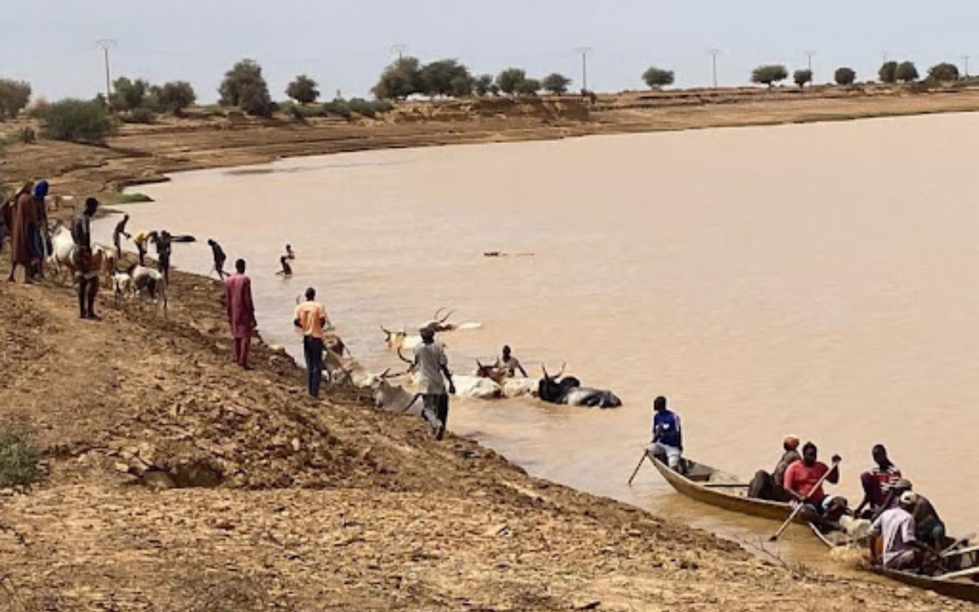 2024_02_18-Senegal-G7-Blog-Ibrahima DIOP-Featured Image (2)