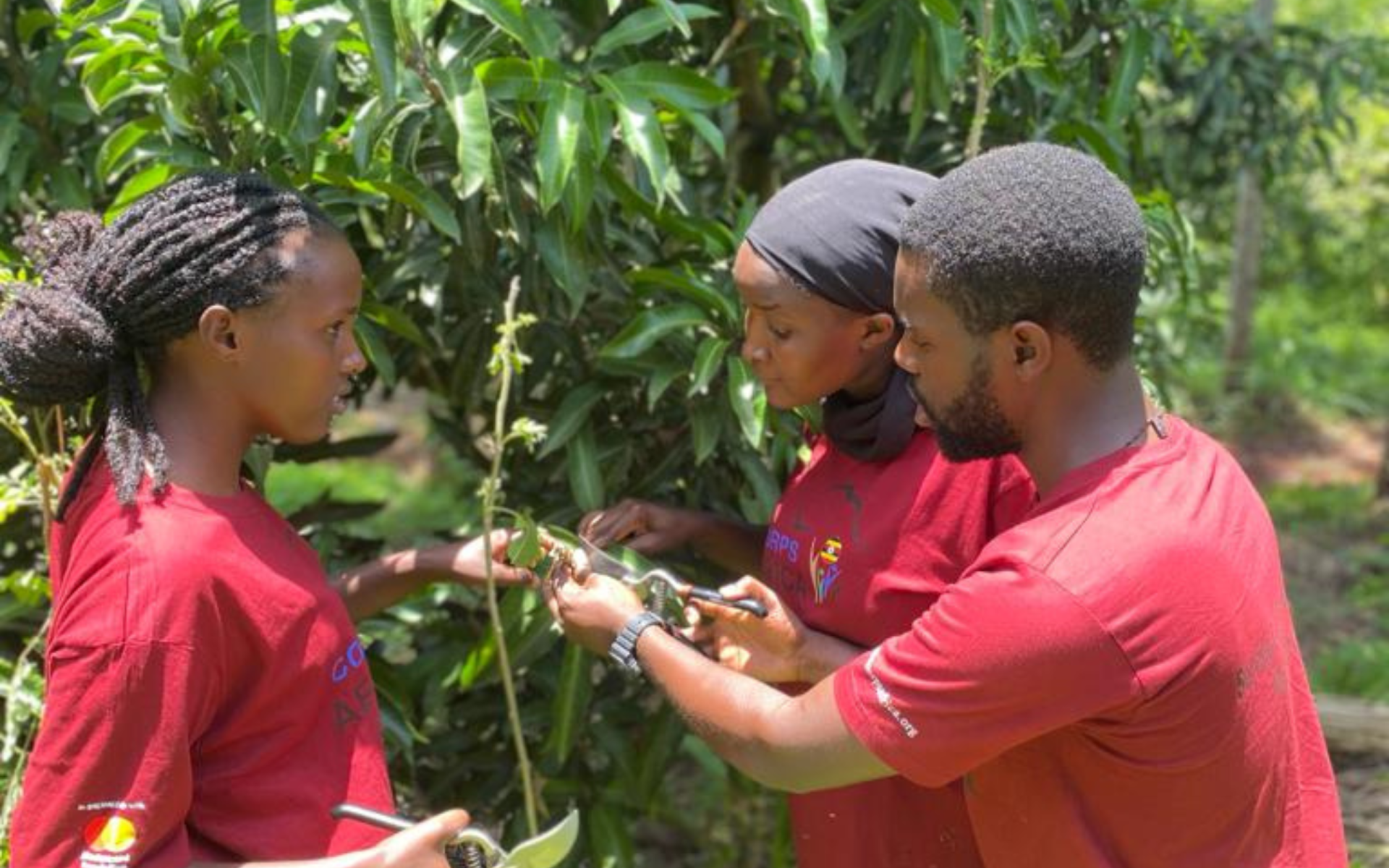 2024_03_29-Uganda-G1-Blog-Martin Twesigye-Featured Image