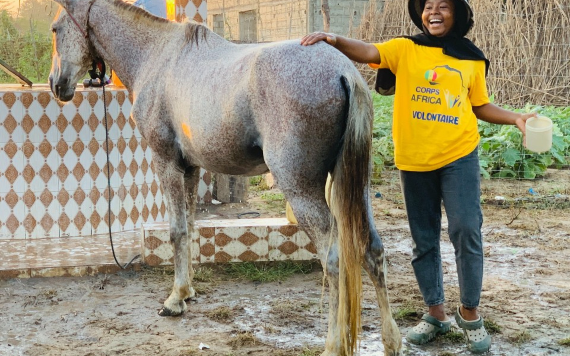 2024_12-Senegal-G8-Victoria Ndebugri Wintonya-Featured