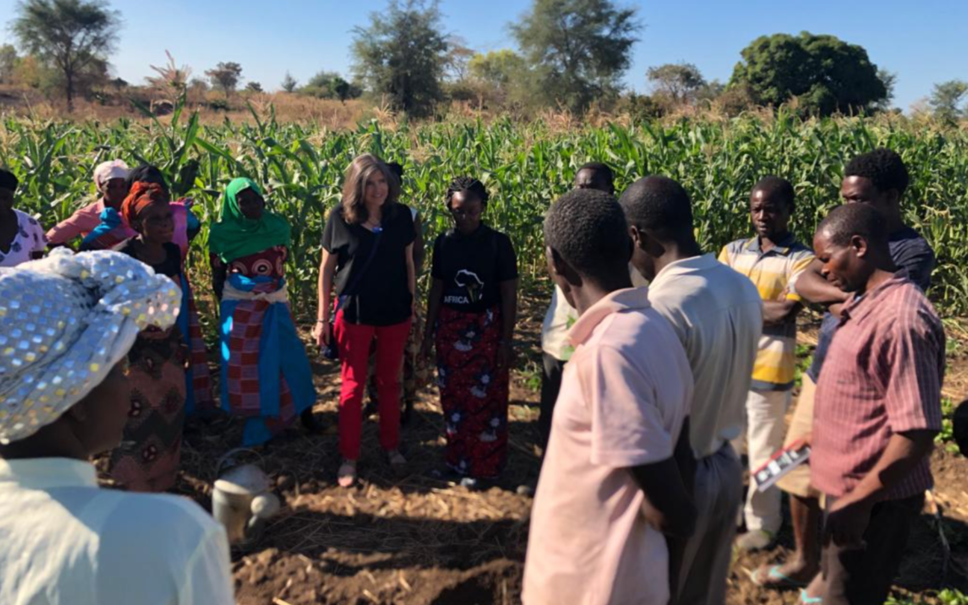 Conversation with Liz Fanning at Wake Forest University Conversation with Liz Fanning at Wake Forest University