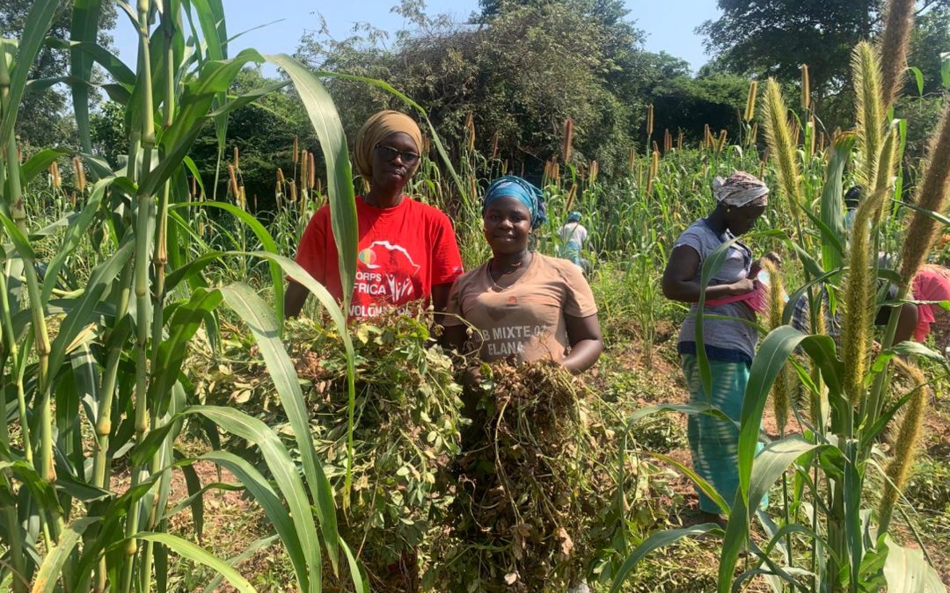 Copy of WhatsApp Image 2025-02-02 at 07.06.14_15f8d133