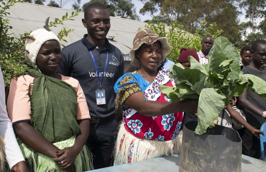 Kitchen Garden Kitchen Garden