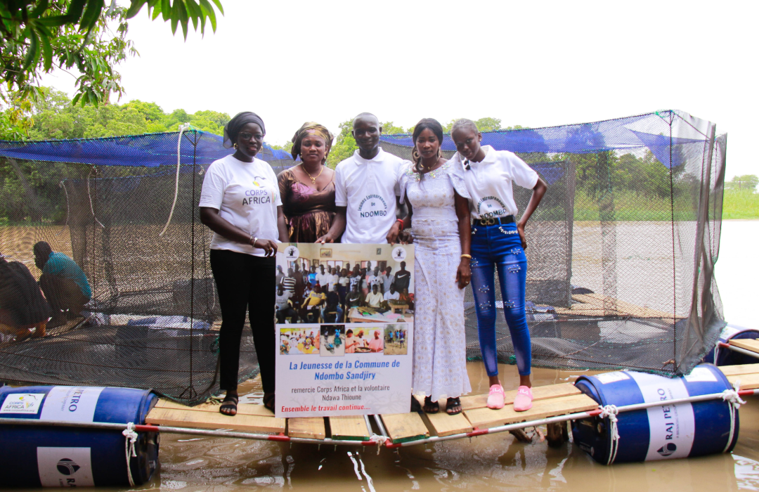 Mini Fish Farm- Featured Image Mini Fish Farm- Featured Image