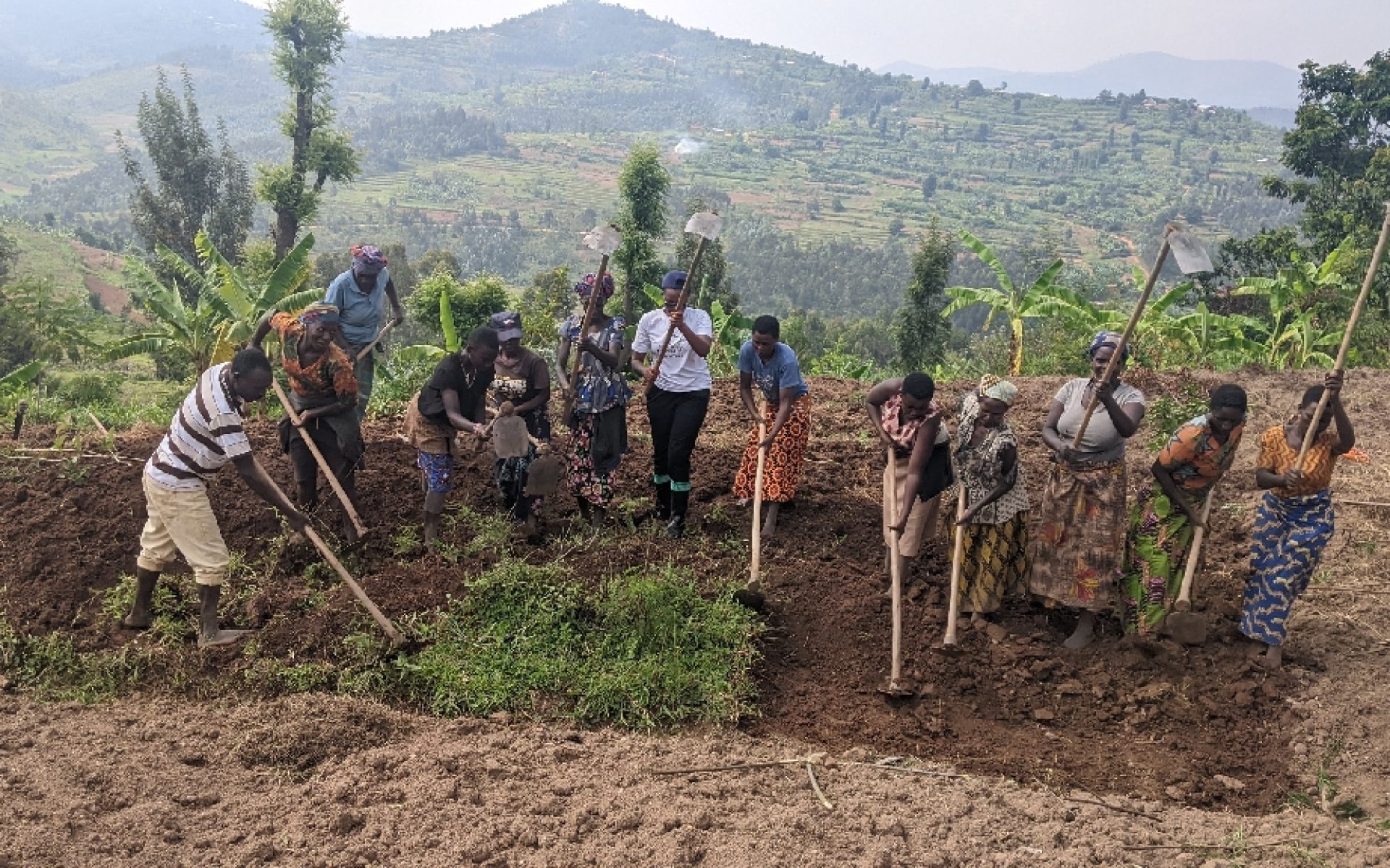 Rwanda Group 4 - Olive Duhoredushima - Bi-weekly Survey 7 Photo