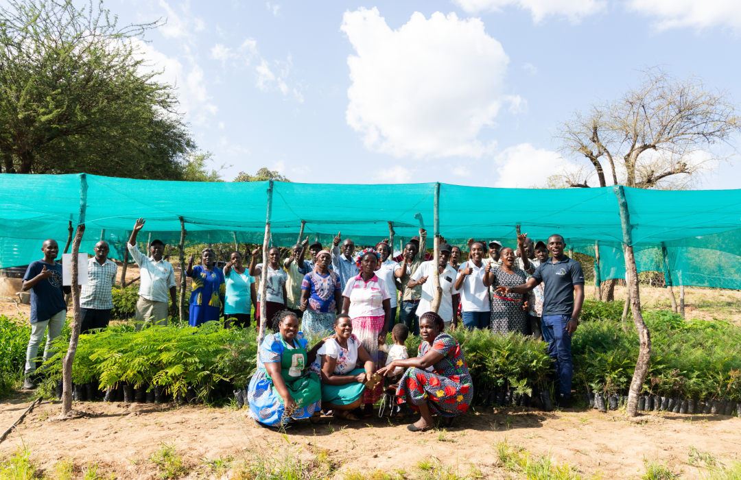 Tree and Vegetable Nursery- Featured Image Tree and Vegetable Nursery- Featured Image